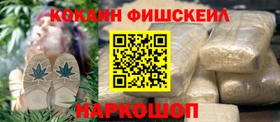 тгк Кингисепп