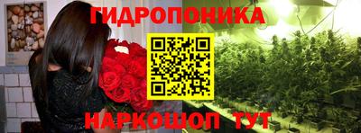 тгк Кингисепп