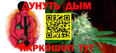 тгк Кингисепп