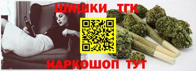 тгк Кингисепп