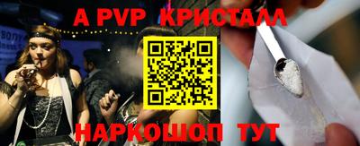 тгк Кингисепп