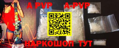 тгк Кингисепп